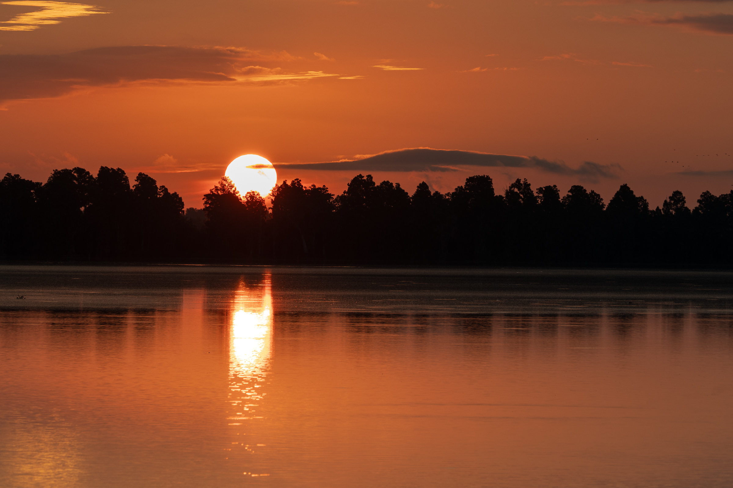 Lake Hancock sunrise