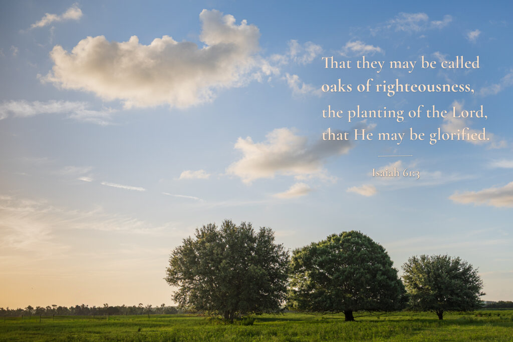 Isaiah 61:3