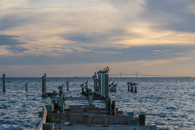 Rod & Reel Pier